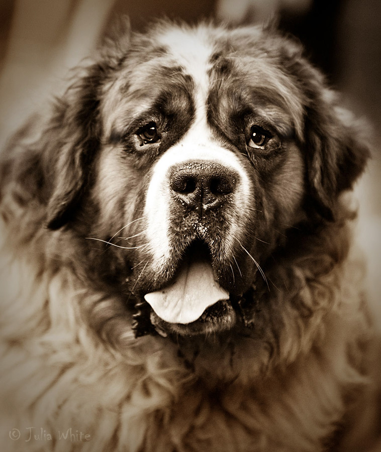 Притча о справедливости.