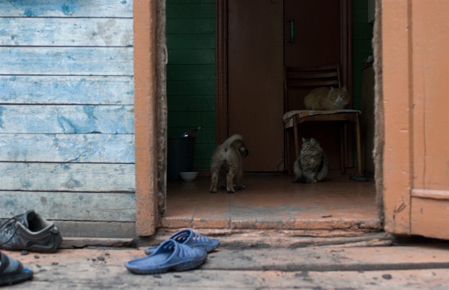 Фото жизнь