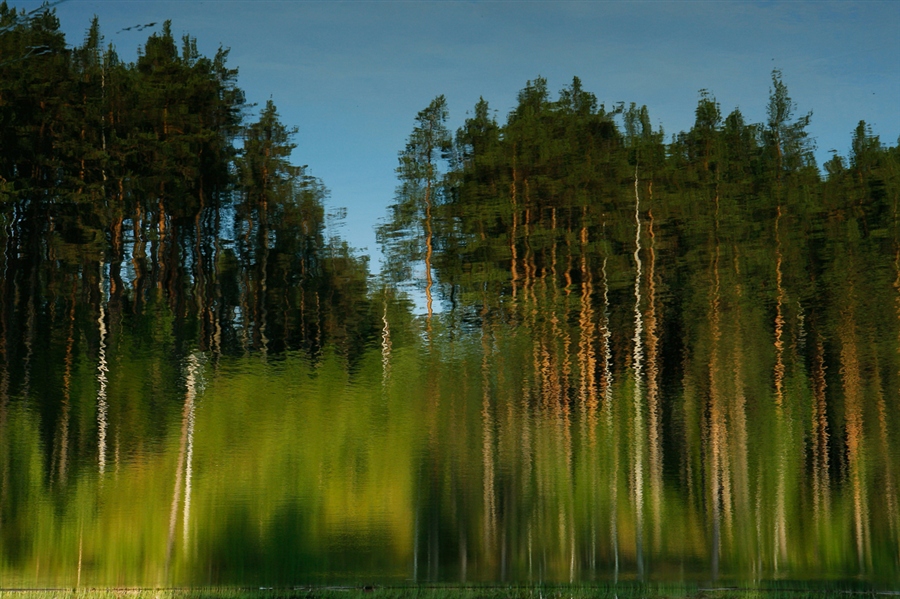 Фото жизнь