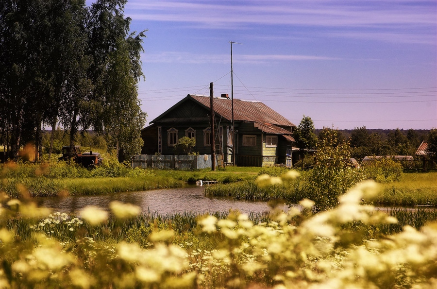 Фото жизнь