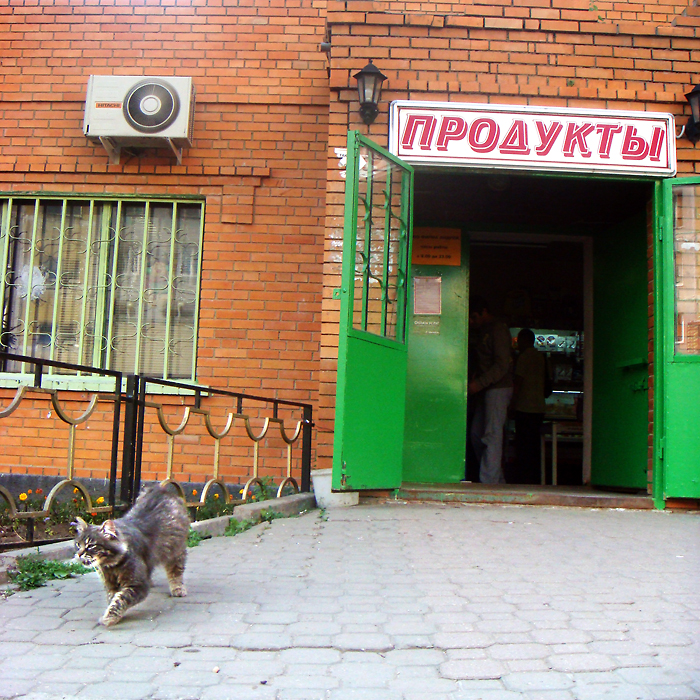 Фото жизнь