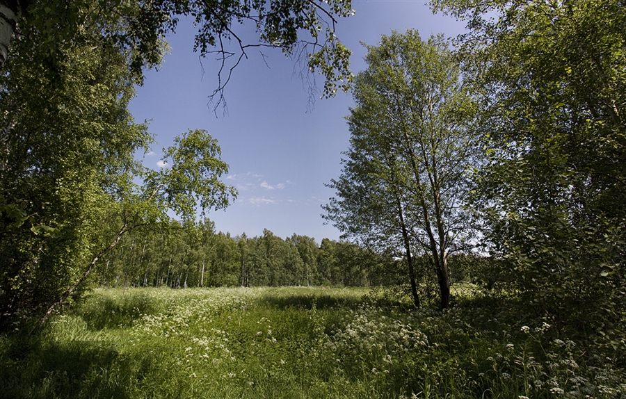 Фото жизнь