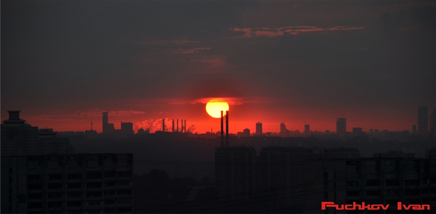Фото жизнь
