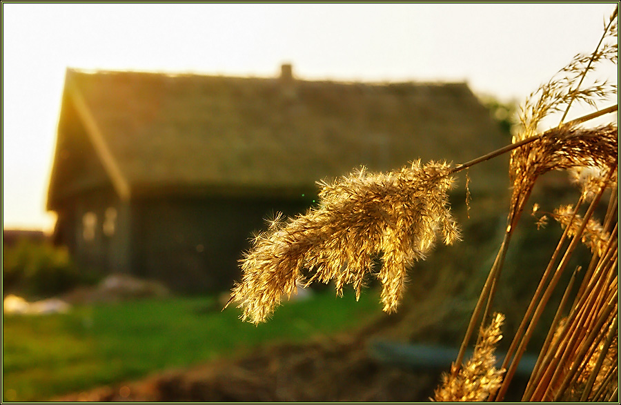 Фото жизнь (light) - Сергей Титов - Природа - Про деревню