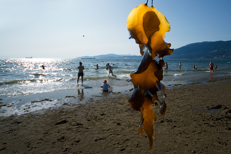 Фото жизнь - Сергей Чернышов - Vancouver B.C. Canada - Ocean