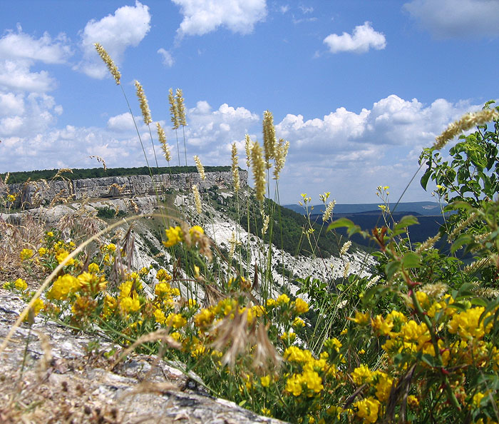 Фото жизнь (light) - Svetlana Fadeeva - Природа - ...