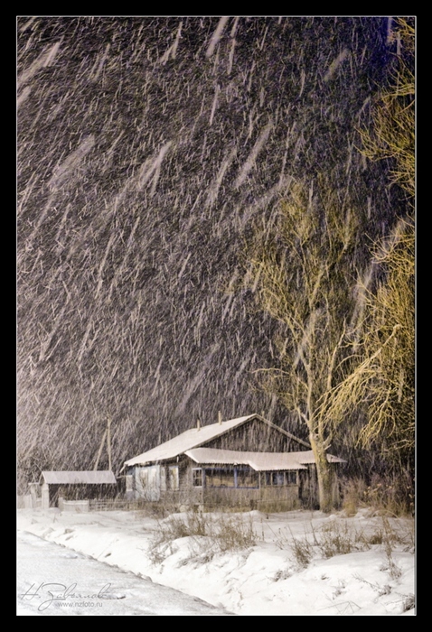 Фото жизнь