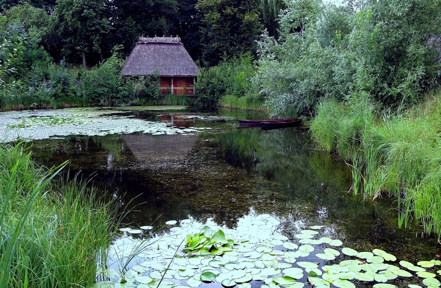 Фото жизнь