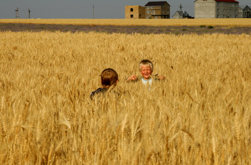 Фото жизнь (light) - Sandrina - дети - the warm sight