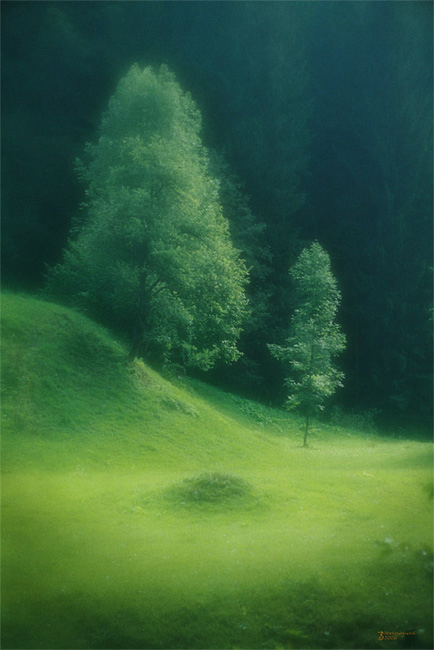 Фото жизнь (light) - Валерий Ша - корневой каталог - Мелодия карпат