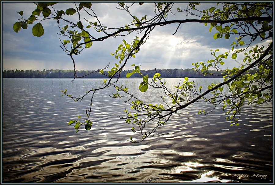Фото жизнь