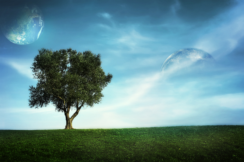 Фото жизнь (light) - Виктор Курьян - ART - fantastyc landscape