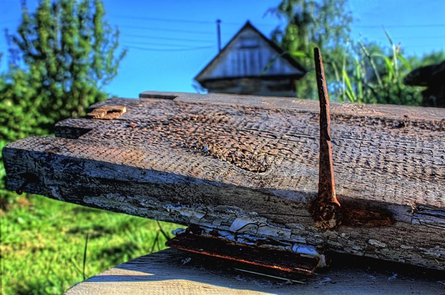 Фото жизнь