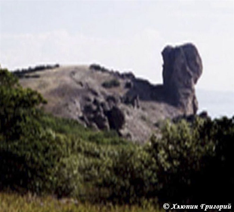 Фото жизнь