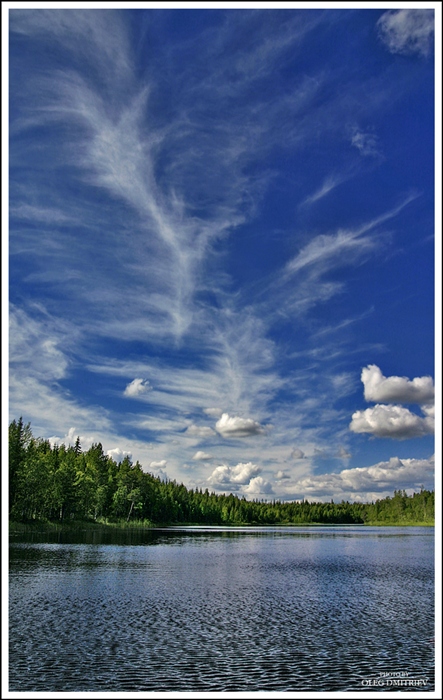 Фото жизнь