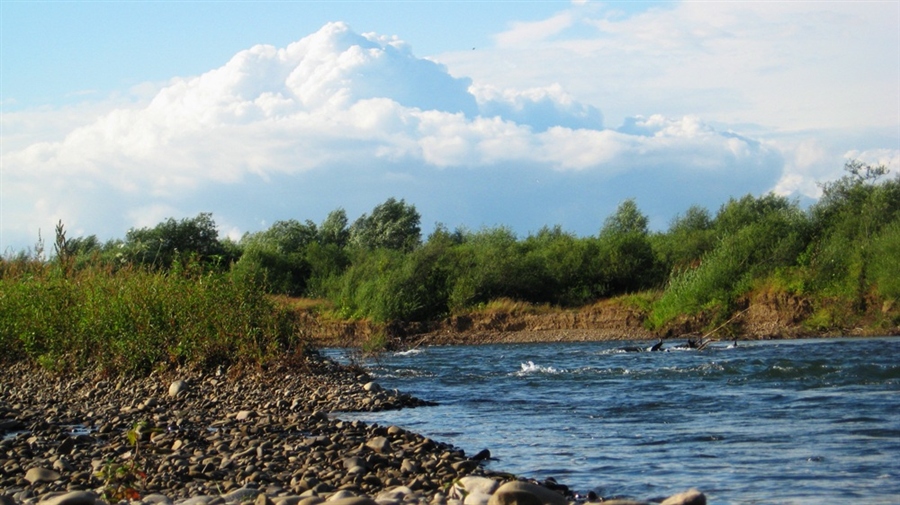 Фото жизнь