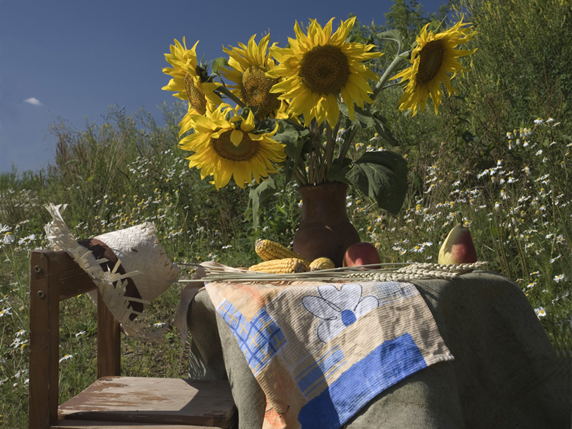 Фото жизнь (light) - Игорь Колосов - Натюрморты - Фантазии...на природе..