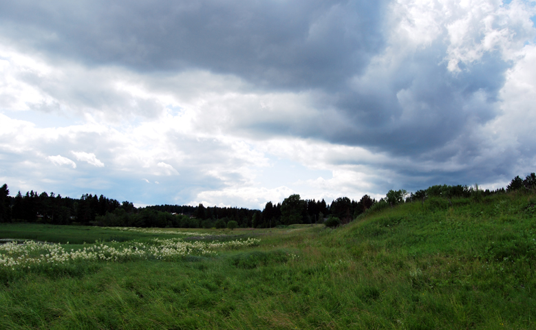 Фото жизнь (light) - Lalian - корневой каталог - ***
