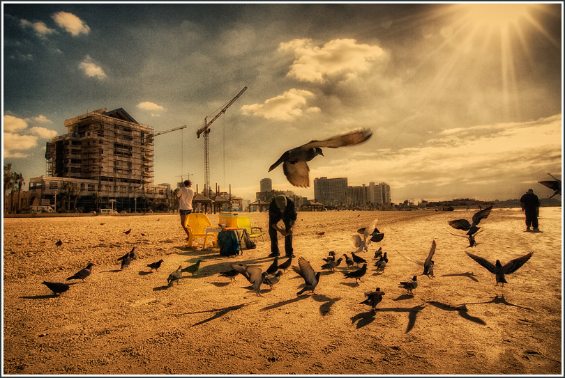 Фото жизнь (light) - Александр Толчинский - Тель-Авивский драйв - Tel-Aviv 5890