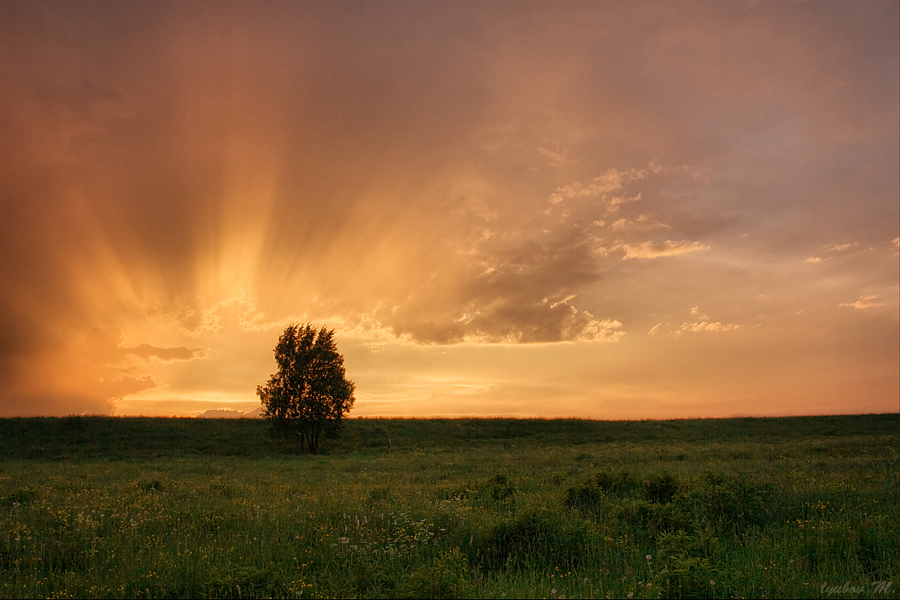 Фото жизнь