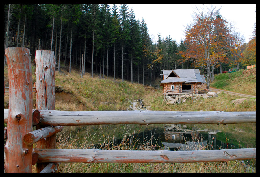 Фото жизнь