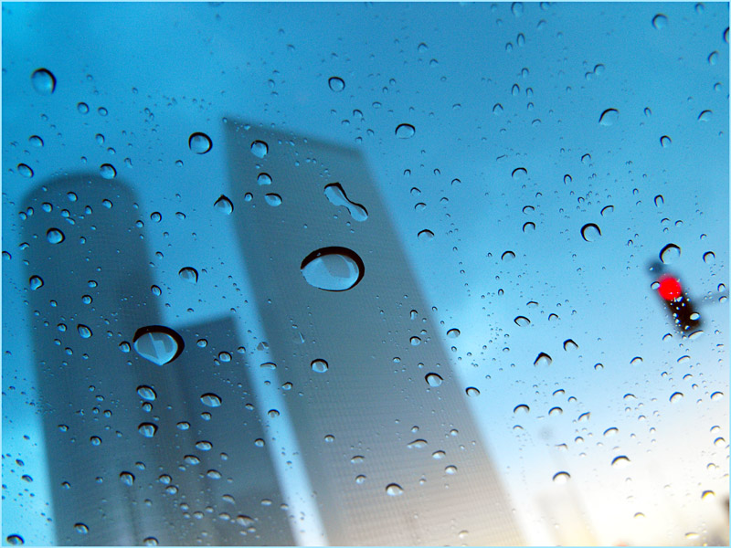 Фото жизнь (light) - simon - корневой каталог - дождь
