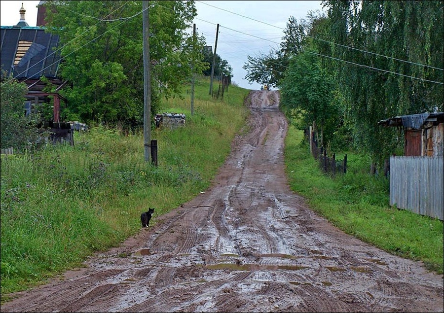 Фото жизнь