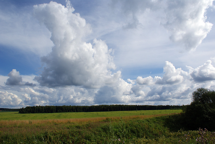 Фото жизнь (light) - Svetlana Fadeeva - Природа - ***