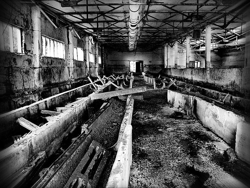 Фото жизнь (light) - _AlterEgo_ - Поразмышляем? - Геометрия Хаоса