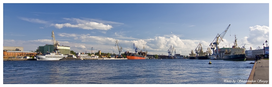 Фото жизнь