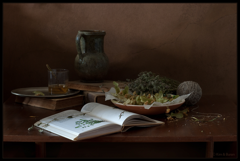 Фото жизнь (light) - Kим и Буран - Still Life - натюрморт с раскрытой книгой