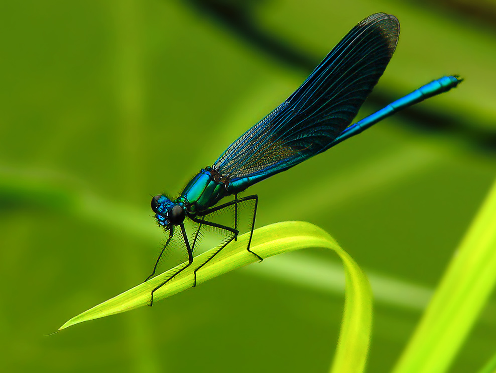 Картинка 5 из 19507