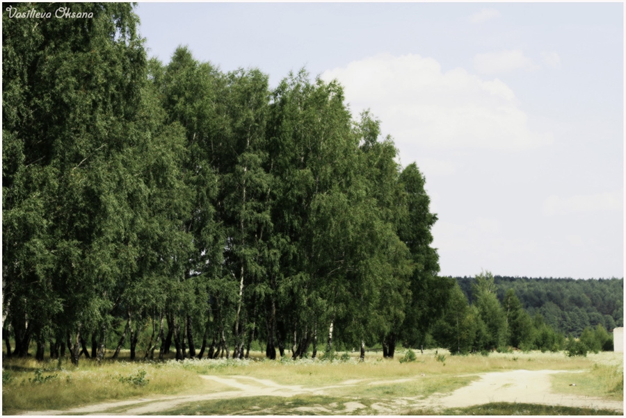 Фото жизнь