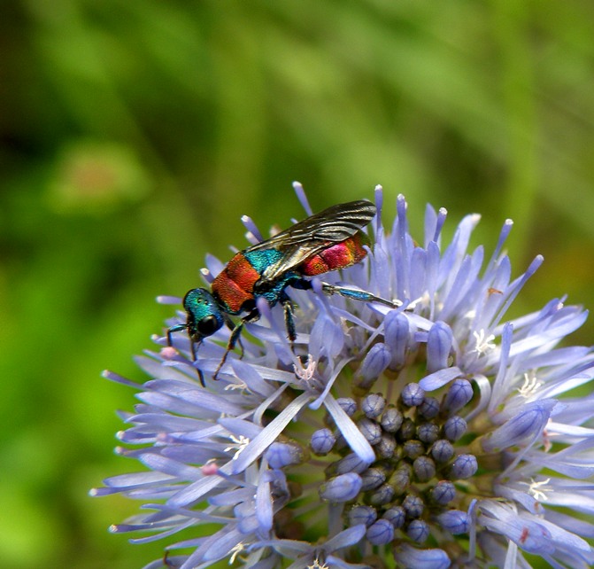 Фото жизнь (light) - Геннадий Нехай - корневой каталог - * * *