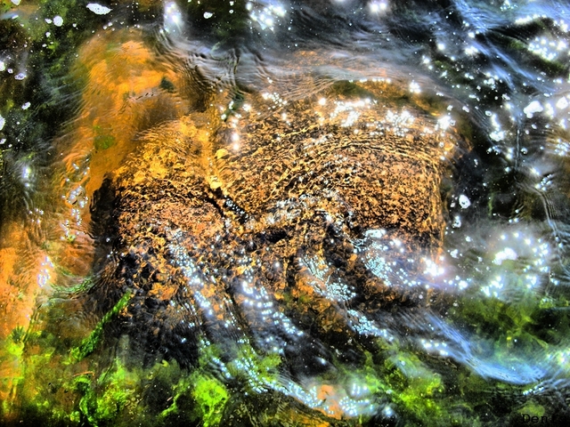 Фото жизнь (light) - Башин Денис - подводный мир - игра воды...