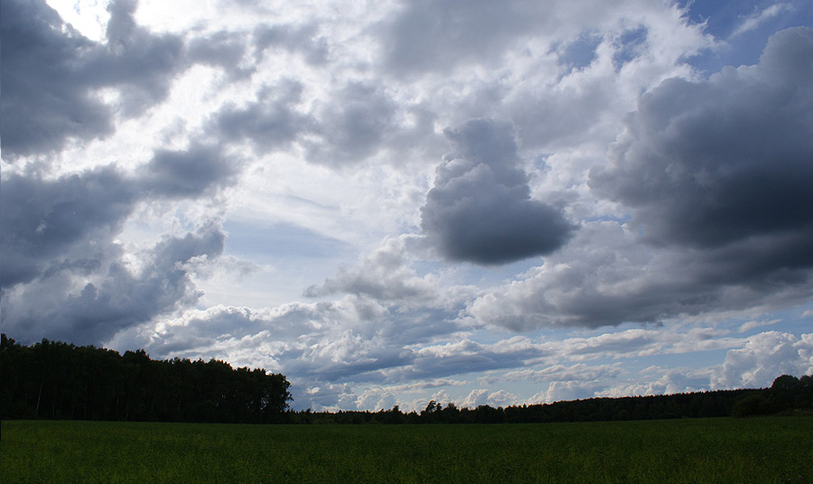 Фото жизнь (light) - Svetlana Fadeeva - Природа - Тучи сгущаются...