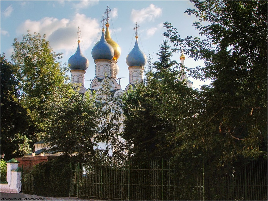 Фото жизнь