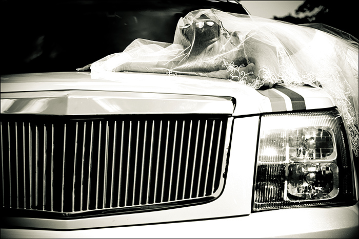 Фото жизнь (light) - Musin - Свадьбы - свадьба
