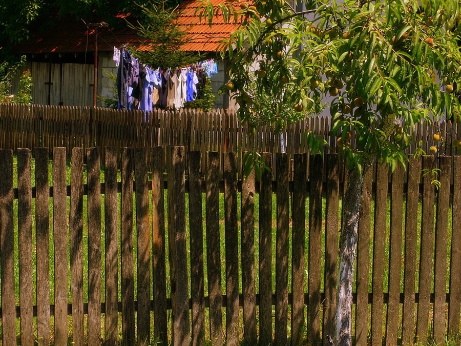 Фото жизнь