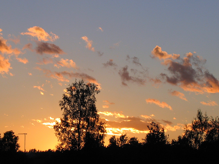 Фото жизнь (light) - Svetlana Fadeeva - Природа - Закат...