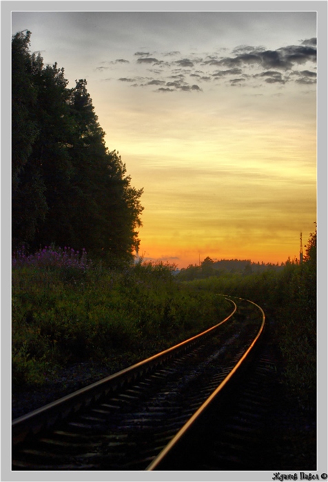 Фото жизнь