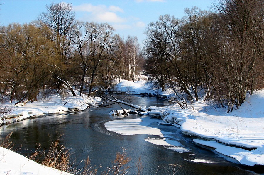Фото жизнь