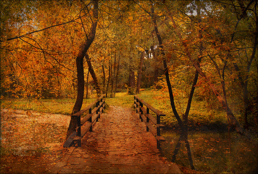 Фото жизнь (light) - Luluka - Про осень - Рисует художник Осень