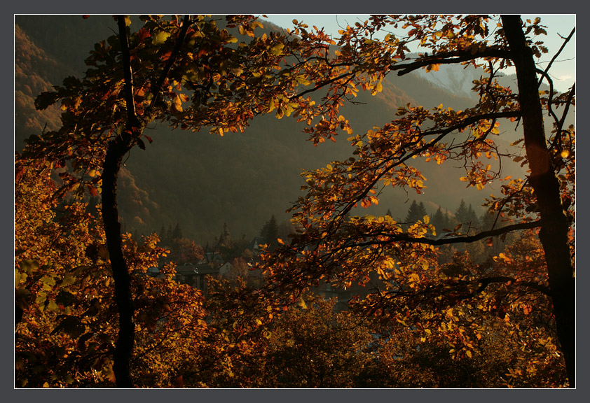 Фото жизнь (light) - Thila - корневой каталог - рыжеволосая осень
