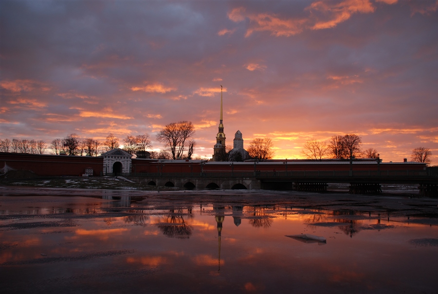 Фото жизнь