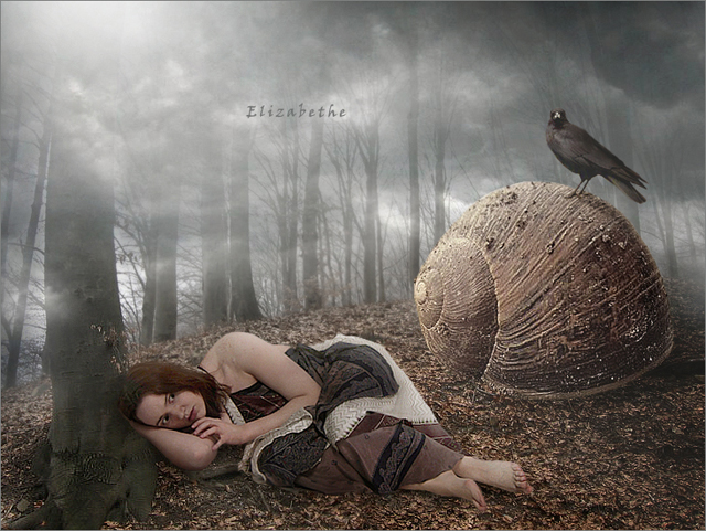 Фото жизнь - Elizabethe - Collage - In Forest where...