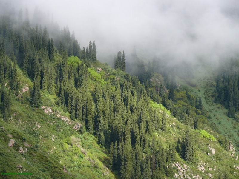 Фото жизнь (light) - izmailova - корневой каталог - Где не ступала нога человека 2
