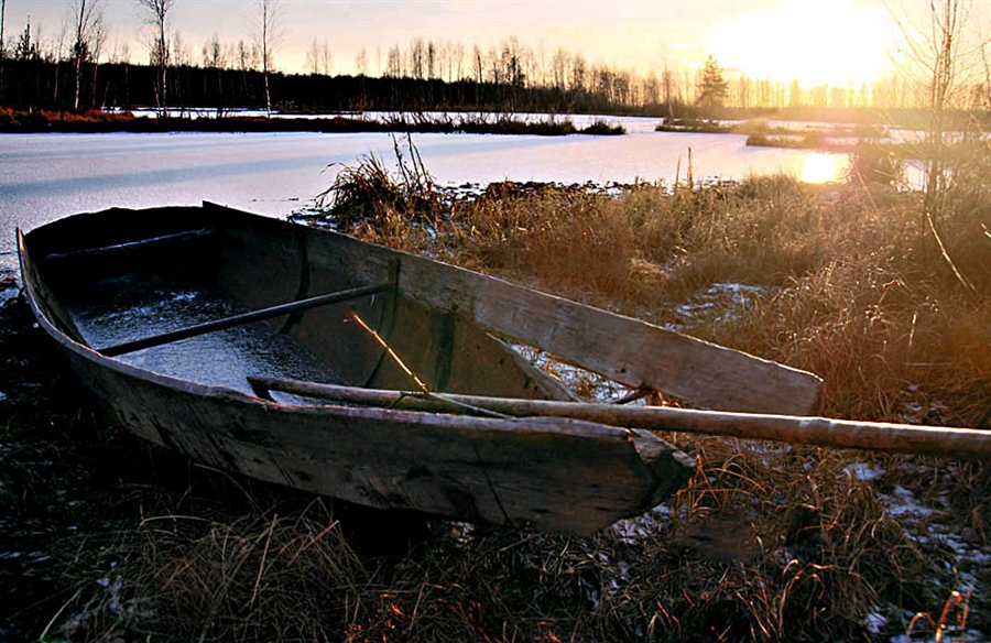 Фото жизнь