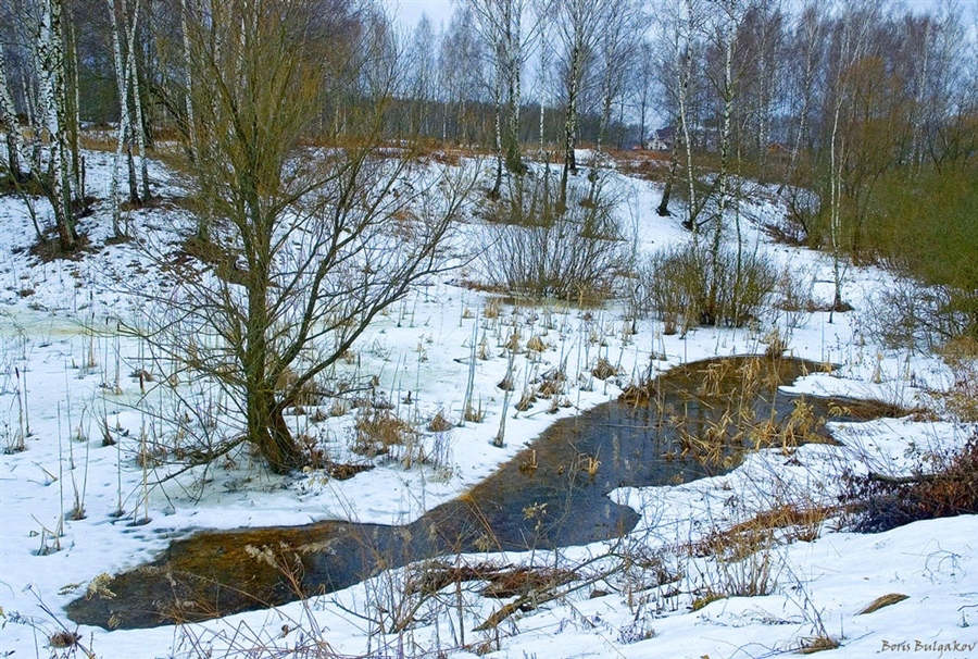 Фото жизнь