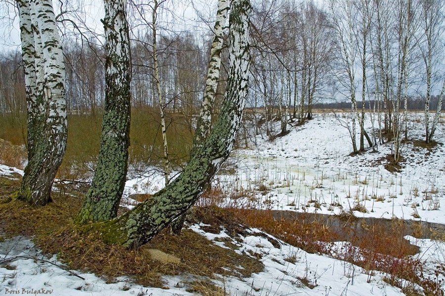 Фото жизнь